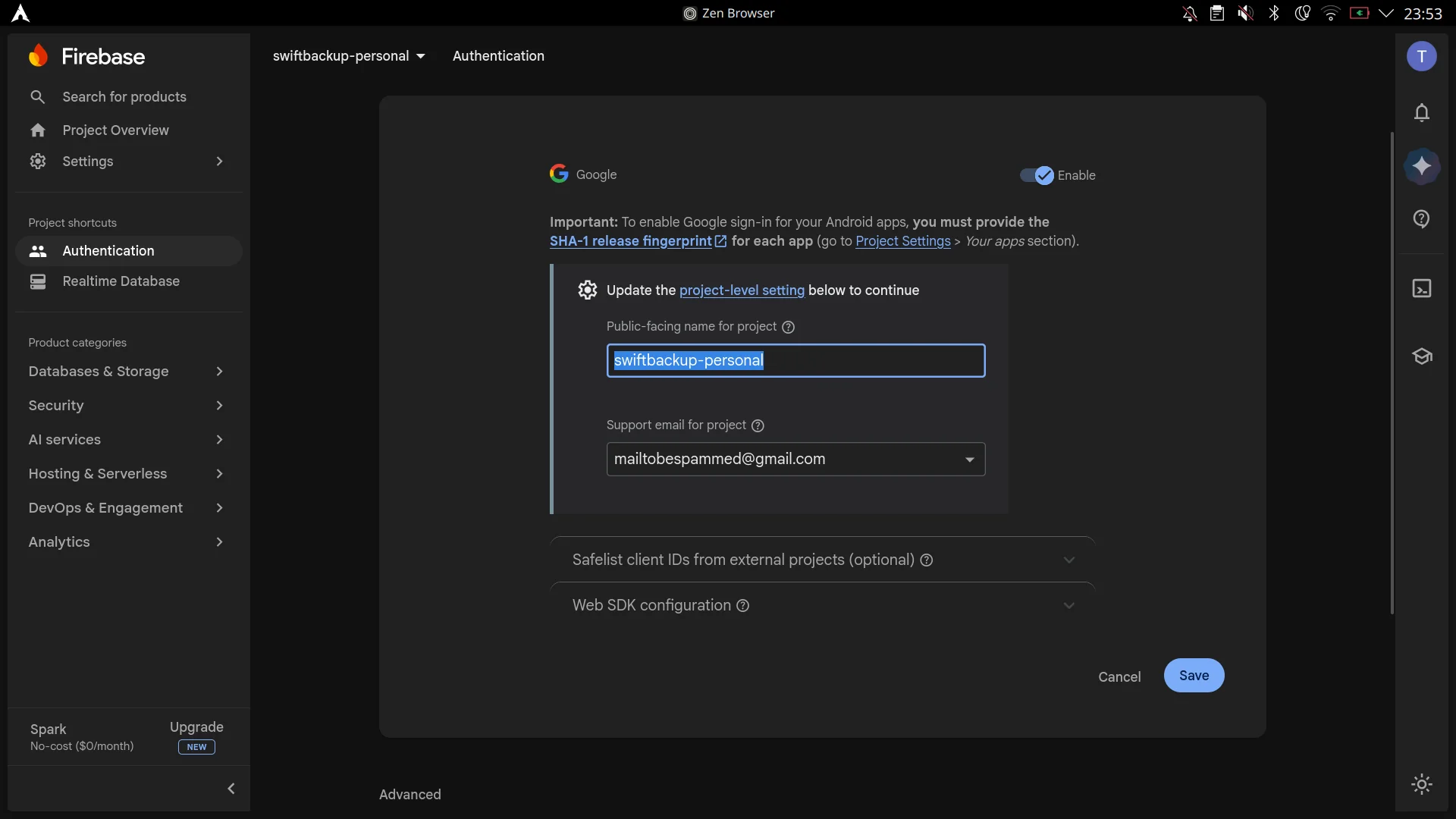Enable Google provider