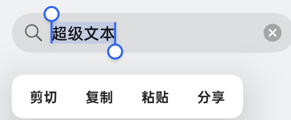 使用文本选择菜单控制后,文字选择菜单只保留系统操作